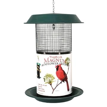 best bird feeders for sunflower seeds that will surprise you 2 best bird feeders for sunflower seeds
