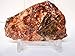 Rockhound's 1st Choice Rock Tumbler Gem Refill Kit -Mexico Red Leopardskin Jasper Rough- 8oz