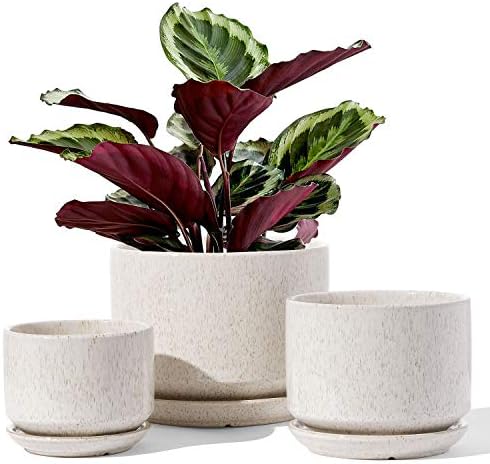 LE TAUCI Ceramic Plant Pots, 4.3+5.3+6.8 inch, Set of 3, Planters...
