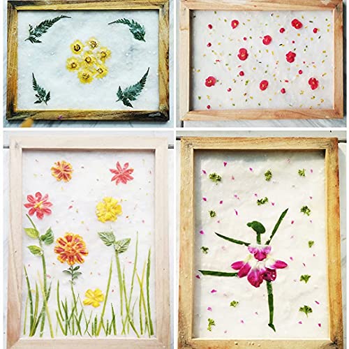 Complete Handmold Papermaking Kit Handmade Paper Art Crafts Set For Children With Screen Frame Great Gifts For Girls Boys Makes 5.8 X 8.2 Inch Paper (A5) #TOP5