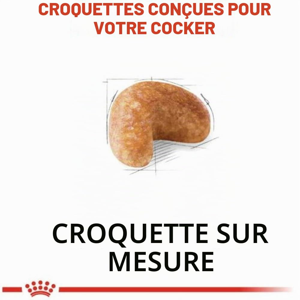 Royal Canin Cocker Adult - sac de 12 kg/Croquettes pour chien Cocker adulte