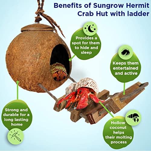 SunGrow Hermit Crab Coco Hut with Ladder, Cave Habitat with Hanging Loop, Large - Image 3