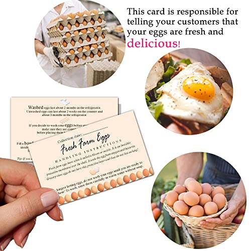 Maosh Fresh Farm Eggs Handling Instructions, Egg Handling Instructions For Farm Fresh Eggs, Colored Egg Design Card, 50 Pack 2 X 3.5 Inch Inches Business Card #TOP3