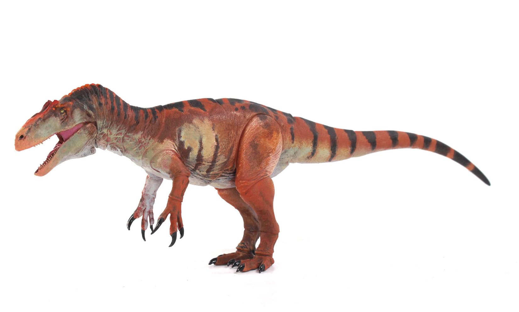 beasts of the mesozoic　アロサウルス　フィギュア Amazon | Beasts of the Mesozoic/Cenozoic 中生代の獣 1/35スケール
