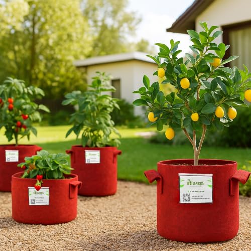 Image of Geo Fabric Grow Bags for Plants 15X15 Inch (Pack of 10) | 400 GSM Heavy Duty UV-Protected Round Maroon Colour Plant Bags for Terrace and Vegetable Gardening | Strong & Reusable|