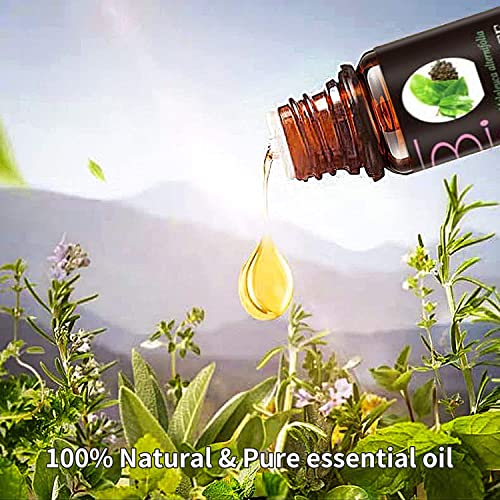 Essential Oils Gift Set 6Pcs 10Ml 100% Natural Essential Oils Kit For Diffusers, Aromatherapy, Humidifiers, Massage,Tea Tree, Sandalwood, Peppermint, Eucalyptus, Lavender, Citronella Fragrance Oil #TOP2