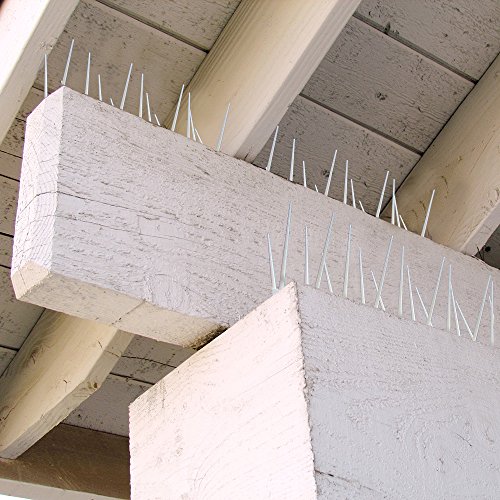 Bird B Gone - EnviroSpike Plastic Anti Bird Spikes (24' Kit) - Humane Deterrent - Stops Pigeons & Birds from Roosting - UV-Stabilized Polycarbonate - for Rooftops, Ledges, Fences, Etc - Made in USA