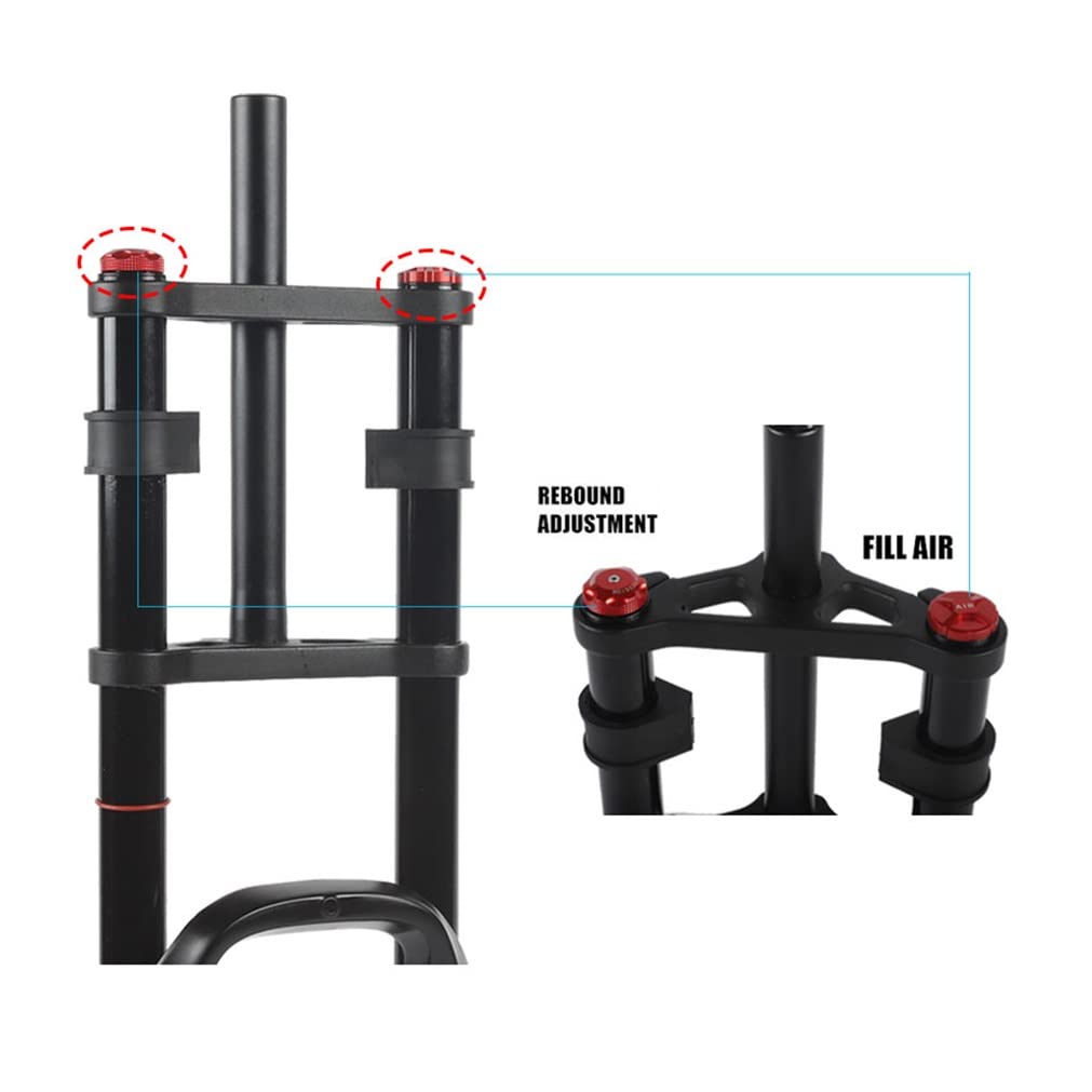 Raggi Bici In Acciaio 14G Curvati - 36 Pezzi Con Capezzoli, Per MTB E City Bike