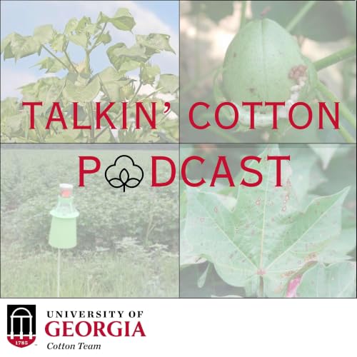 Georgia Cotton Check-In