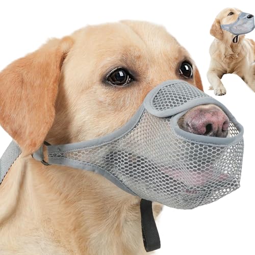 p}Y | ݂h~ \ S K[h | P ʖih~ Jo[ - Ƒ Fl D ybg