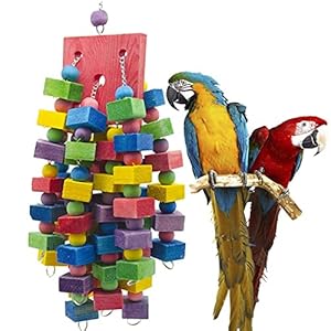 Vogelspeelgoed Parrot Toys Bird Swing Toys Wood Bird Loved Bunches Speelgoed voor Budgie Lovebirds Consees Birds Toys…