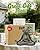 Nacome Meditating Frog Miniature Figurine,Zen Yoga Frog Garden Statue Ornament- Indoor/Outdoor Garden Sculpture for Fairy Garden,Home, Patio,Deck,Porch Yard Art Decoration,5 inch(Copper)