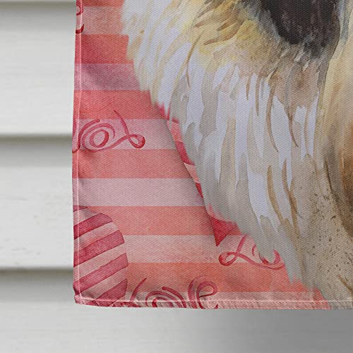 Drapeau Pékinois Caroline's Treasures BB9768CHF Grand Format