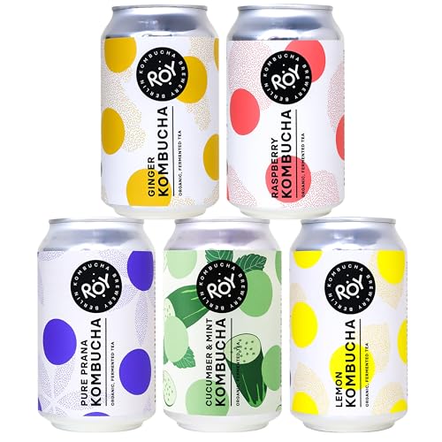 ROY Kombucha Probierpaket Bio mit 5 Sorten, 24 Dosen à 330 ml Bio Kombucha, handgefertigt in unserer Berliner Brauerei, vegan, glutenfrei, laktosefrei, 24er Pack, inkl. 6,00 € Pfand