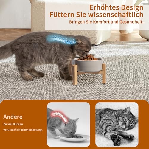 Hundenapf Set Erhöht Hunde Napfset - Doppel Napf Hund Keramik mit rutschfestem Ständer - Futterstation Hund - Hundenäpfe 2er Set für Futter und Wasser - Ideal für Kleine Hunde und Katzen - 2 x 480 ml