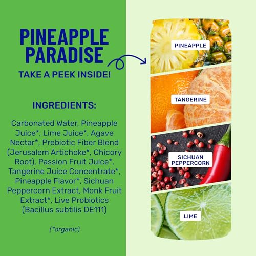 wildwonder Sparkling Probiotic Drink 12pk, For Gut Health & Immune Support, Pineapple Paradise, 5g Prebiotic Fiber, Live Probiotics, Organic, Vegan, Low Sugar, 12 Pack, 12oz Can, As Seen on Shark Tank