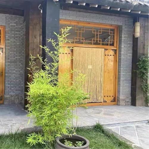 Cortinas colgantes de verano ideales para decorar la entrada y dar un toque natural a tu porche 2