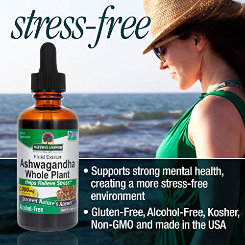 Nature's Answer Ashwagandha Root | Herbal Supplement Maintain Healthy Immune Function | Supports Body Against Stress | Gluten-Free, Alcohol-Free & Vegan 2Oz (3 Pack) #TOP2