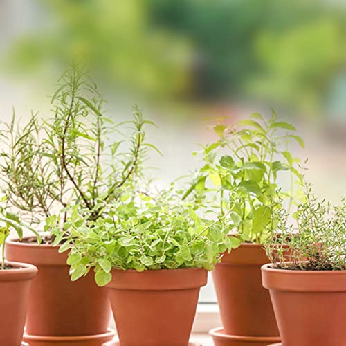 Hosnhh 12 Pack 3.2 Inch Terra Cotta Pots With Saucer, Small Clay Pots With Drainage Hole, Mini Cute Clay Planters Pots For Indoor/Outdoor Plants, Succulent, Cactus(Plant Is Not Included) #TOP6