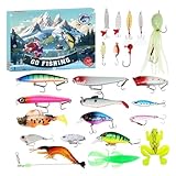 Niesel Calendrier de l'Avent de Pêche 2025 - Calendrier de Compte à Rebours 24 Jours ave...