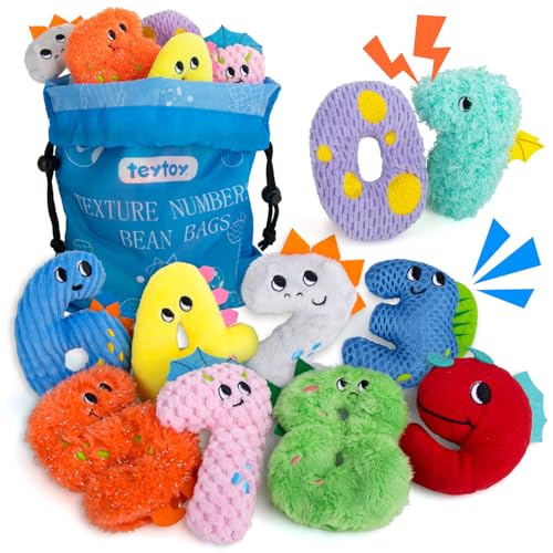 teytoy Texture Sensory Bean Bags Toys for Autism 10 Fidget Sensory Number Toys with Storage Bag Develop Fine Motor & Sensory Play for Baby Boys Girls Special Needs Developmental Toys