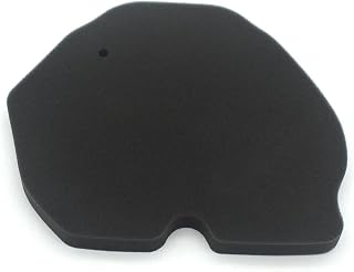 Air Filter for Benelli 302S