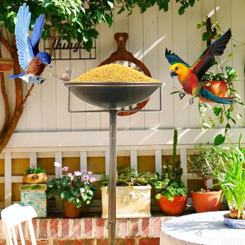 Baño para pájaros de metal con cuenco de agua para loro y periquito 4