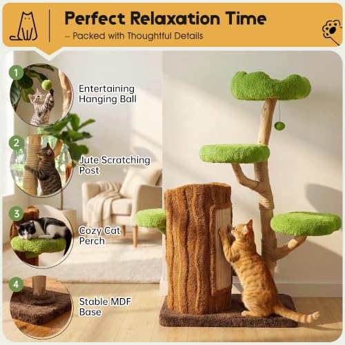 Image of KAMABOKO 57 inch Tall Indoor Cat Tree, Large Tower with 2 Condos & Sisal Scratching Pad