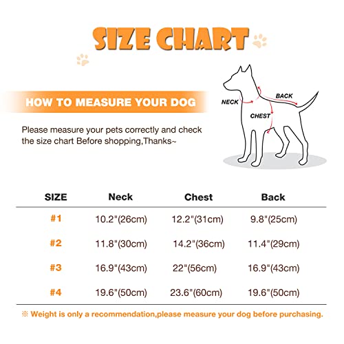 Lesypet Dog Cold Weather Coats, Small Dog Winter Snow Jacket With Pinch-Free Zipper, Dog Clothes With 2 D-Rings For Small Large Dog Girl #TOP3