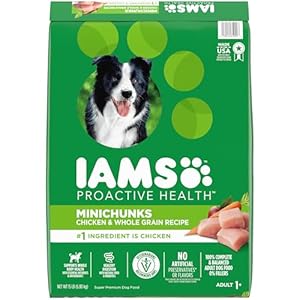IAMS Proactive Health Minichunks Adult Dry Dog Food with Real Chicken and Whole Grains 15 lb Bag