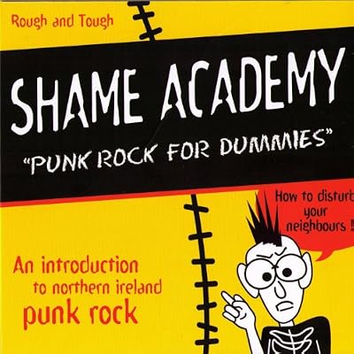 Punk Rock For Dummies