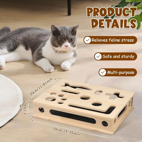 Jouet interactif de recherche de nourriture puzzle gratter chat