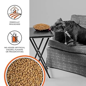   BIXBI-Liberty-Grain-Free-Dry-Dog-Food-Chicken-Recipe-22-lbs-Fresh-Meat-No-Meat-Meal-No-Fillers-for-Easy-Digestion-USA-Made