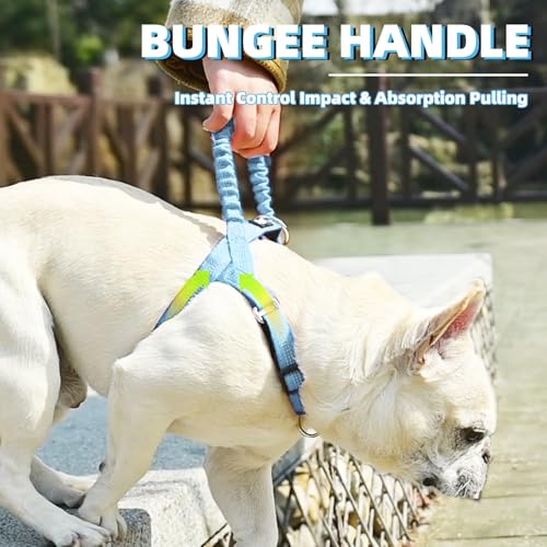 Image of PUPTECK No Pull Dog Harness Small Sized Dog, Adjustable Reflective Pet Vest Harness with Bungee Handle, Escape Proof No Choke Harness for Small Dogs Walking Training, Sky Blue S