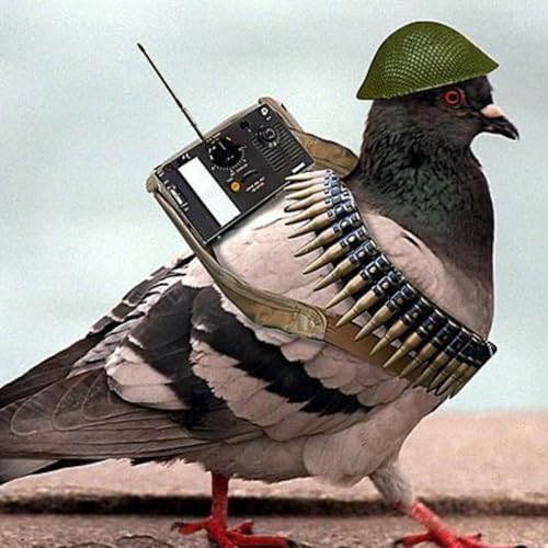 Episodio 5: &iquest;Por qu&eacute; hacemos lo que hacemos? (y c&oacute;mo esto puede hacer que palomas dirijan misiles)