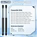 Rear Trunk Lift Supports Shocks Struts Compatible with Nissan Sentra 2007 2008 2009 2010 2011 2012 Liftgate Tailgate Gas Spring, Replace 6429 SG425022 PM3282 Pack of 2