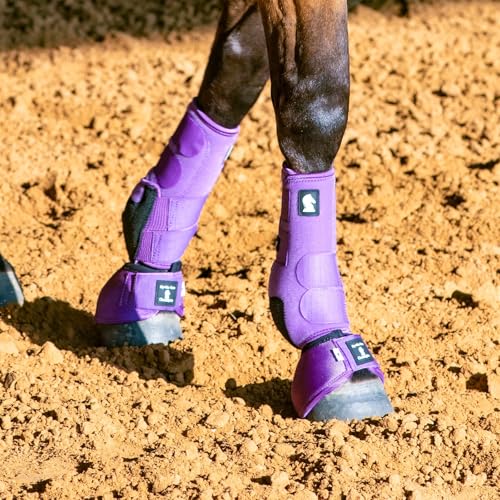 Image of Classic Equine Legacy2 Support Boots, Front (Violet Purple, Medium)