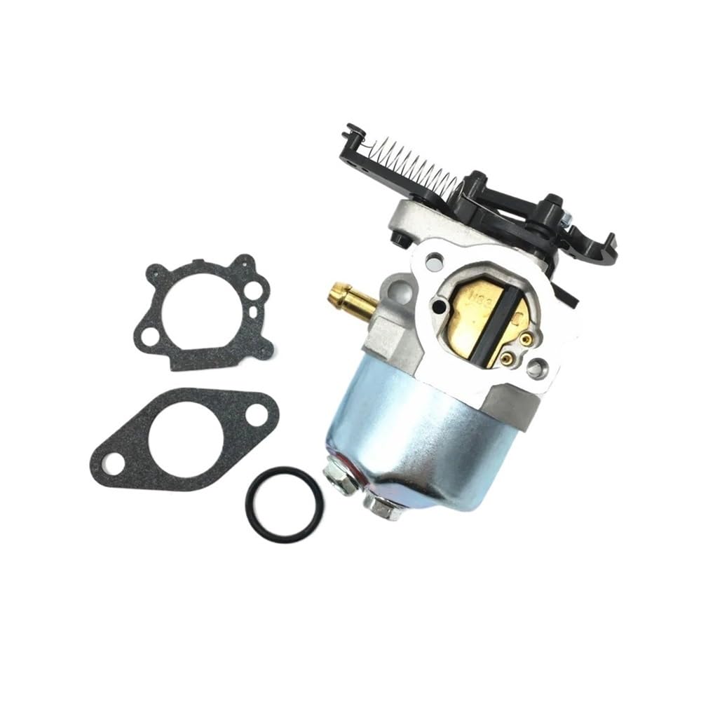 Carburateur 793493 pour entretenir facilement votre grand jardin