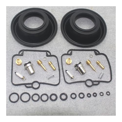 Kit de réparation de carburateur pour réviser la Suzuki GS500E avant l'été