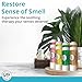 Wild Essentials Smell Training Kit Nasal Inhalers, Made in The USA, Pure Essential Oils, Olfactory Therapy, Loss of Smell, Aromatherapy, All Natural