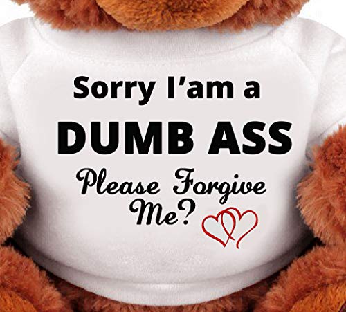Sorry-and-Forgive-Me-Gift-Funny-Teddy-Bear-Couple-Gift-Medium-Teddy-Bear-Stuffed-Animal - DumpADate.com