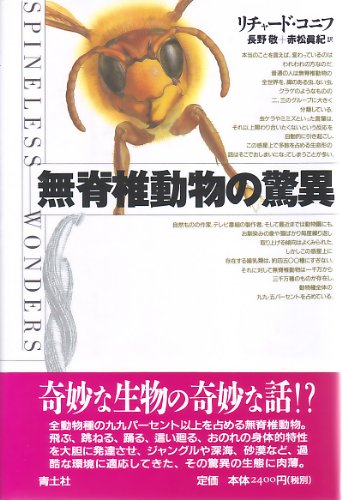 無脊椎動物の驚異