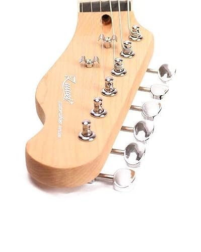Amazon.com: ZUWEI Semi Hollow Body Electric Guitar,TL Series