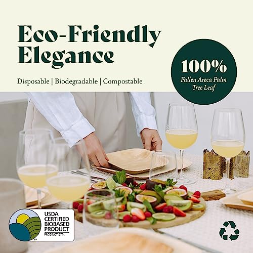 Chic Leaf Disposable Palm Leaf Plates Like Bamboo Plates 9 Inch Round (50 Count) - 100% Compostable Wedding & Party Plates - All Natural & Eco Friendly Plates #TOP3
