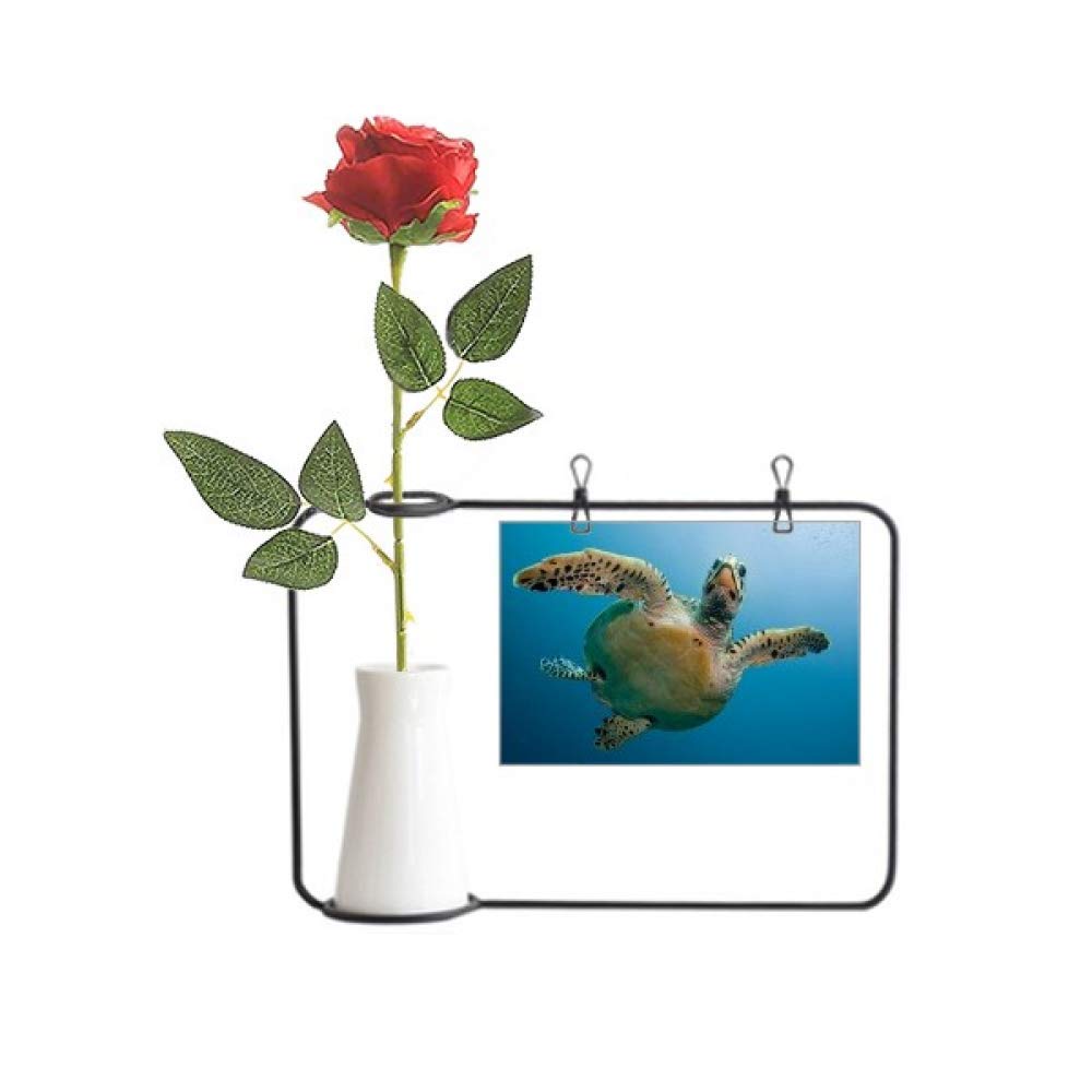 Tortue d'eau bleue océan : vase de décoration, bouteille et rose artificielle