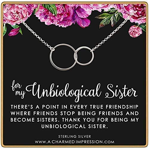 Best Friend Gifts for Women  Unbiological Sister  Silver Necklace  Christmas Gifts for Women  Stepsister Gifts  Love Friendship  Two Circles Necklace  Bonus Sister Necklaces for 2 3