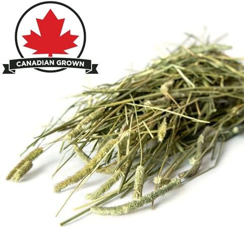 Timothy Hay 6.25 lb. by Stoter Farms, 100% Canadian Hay for Rabbits Guinea Pigs Chinchilla and Other Small Pets (100oz/2.8kg Bag) — view 3