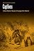 Produktbild Captives: How Stolen People Changed the World (Borderlands and Transcultural Studies)