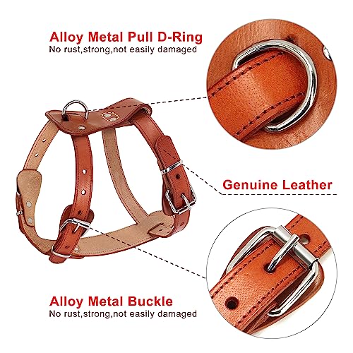 Beirui Hundegeschirr aus echtem Leder, kein Entkommen für kleine und mittelgroße Hunde, Haustiertraining, Spazierengehen, leicht verstellbar, Stabiler Gurt, Brustumfang für 48,3–63,5 cm, Braun