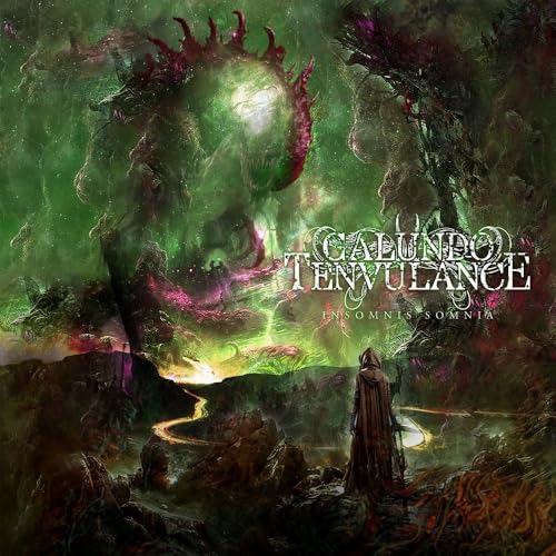 【Amazon.co.jp限定】INSOMNIS SOMNIA (特典:メガジャケ付)